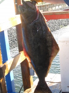 Quatsino Sound Fishing Charters