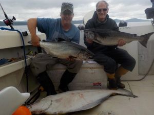 Port Hardy Halibut and Salmon Fishing