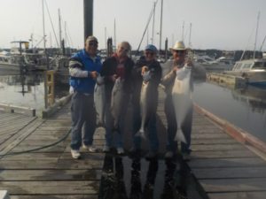 Halibut & Salmon Fishing